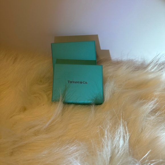 Tiffany & Co. Iconic Blue Gift Boxes - Picture 4 of 6